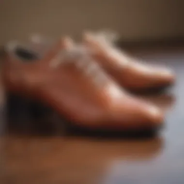 Close-up of the materials used in dance shoes