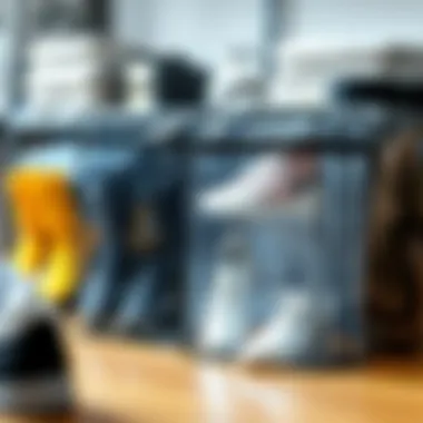 Stylish clear shoe storage bags showcasing various designs.