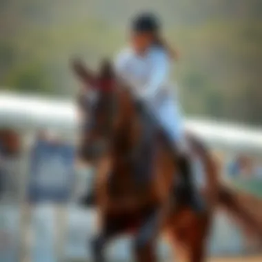 Equestrian athlete wearing full seat silicone grip breeches in action