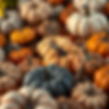 A variety of artificial pumpkins in different colors and sizes arranged beautifully