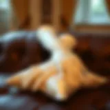 Elegant elbow length wedding gloves displayed on a satin pillow