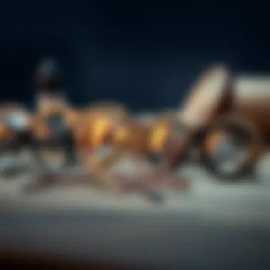 Assortment of steampunk glasses featuring various styles