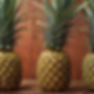 Cultural significance of pineapple motifs in art