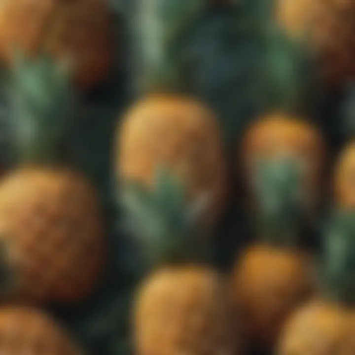 Vibrant pineapple metal wall art in a contemporary setting