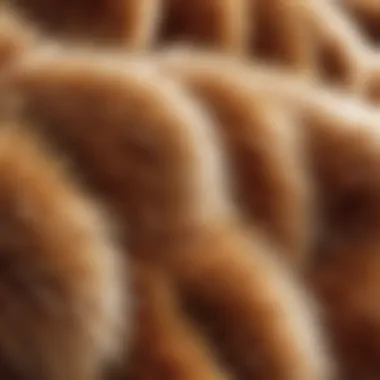 Close-Up of Faux Fox Fur Texture Close-up detail of faux fox fur texture showcasing its softness