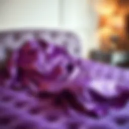 Luxurious purple satin pajamas set displayed on a velvet surface