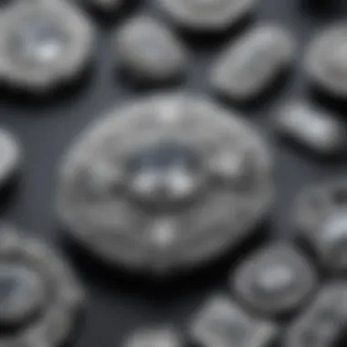 Rhinestone clasps showcased on a range of fashion accessories