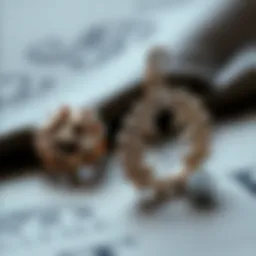 Elegant 316L piercing jewelry showcasing intricate designs