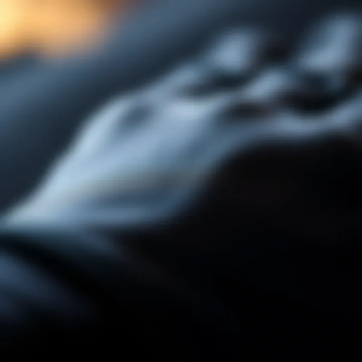 Close-up of fabric texture showcasing durability and flexibility