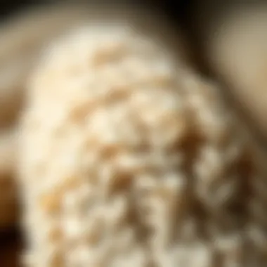 Close-up of wool fibers showcasing texture and quality