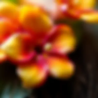 Close-up of a beautifully crafted flower clip showcasing intricate details.