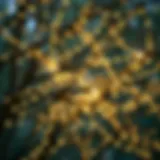 Intricate branches adorned with glowing fairy lights