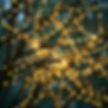 Intricate branches adorned with glowing fairy lights