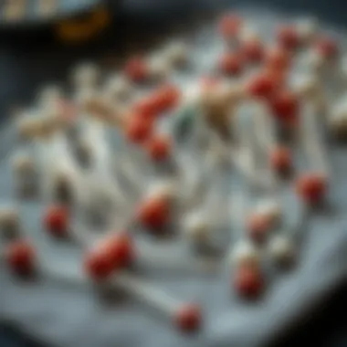 Diverse Selection of Large Head Sewing Pins A close-up view of various large head sewing pins displayed on a fabric swatch.