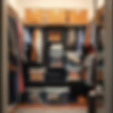 Organized closet featuring clear shoe storage bags.