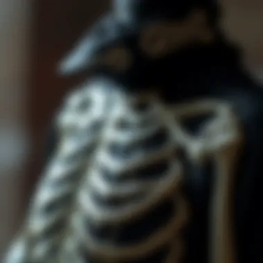 Detailed Design Elements of the Skeleton Jumpsuit Close-up of intricate details and patterns on a skeleton jumpsuit