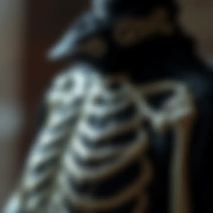 Detailed Design Elements of the Skeleton Jumpsuit Close-up of intricate details and patterns on a skeleton jumpsuit