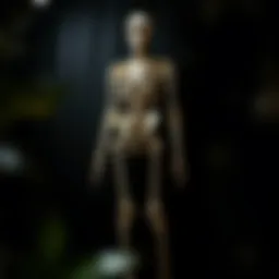 A striking skeleton jumpsuit displayed on a mannequin against a dark backdrop