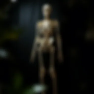 The Allure of the Skeleton Jumpsuit A striking skeleton jumpsuit displayed on a mannequin against a dark backdrop