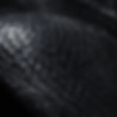 Close-up of the unique texture of black snake skin