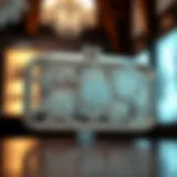 Elegant transparent clutch showcasing intricate design features
