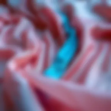 Close-up of luxurious fabrics used in see-through pajama designs