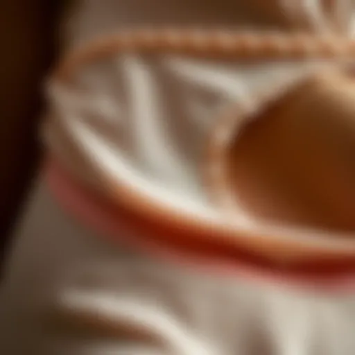 Close-up view of a gusset in lingerie, showcasing intricate stitching and fabric texture